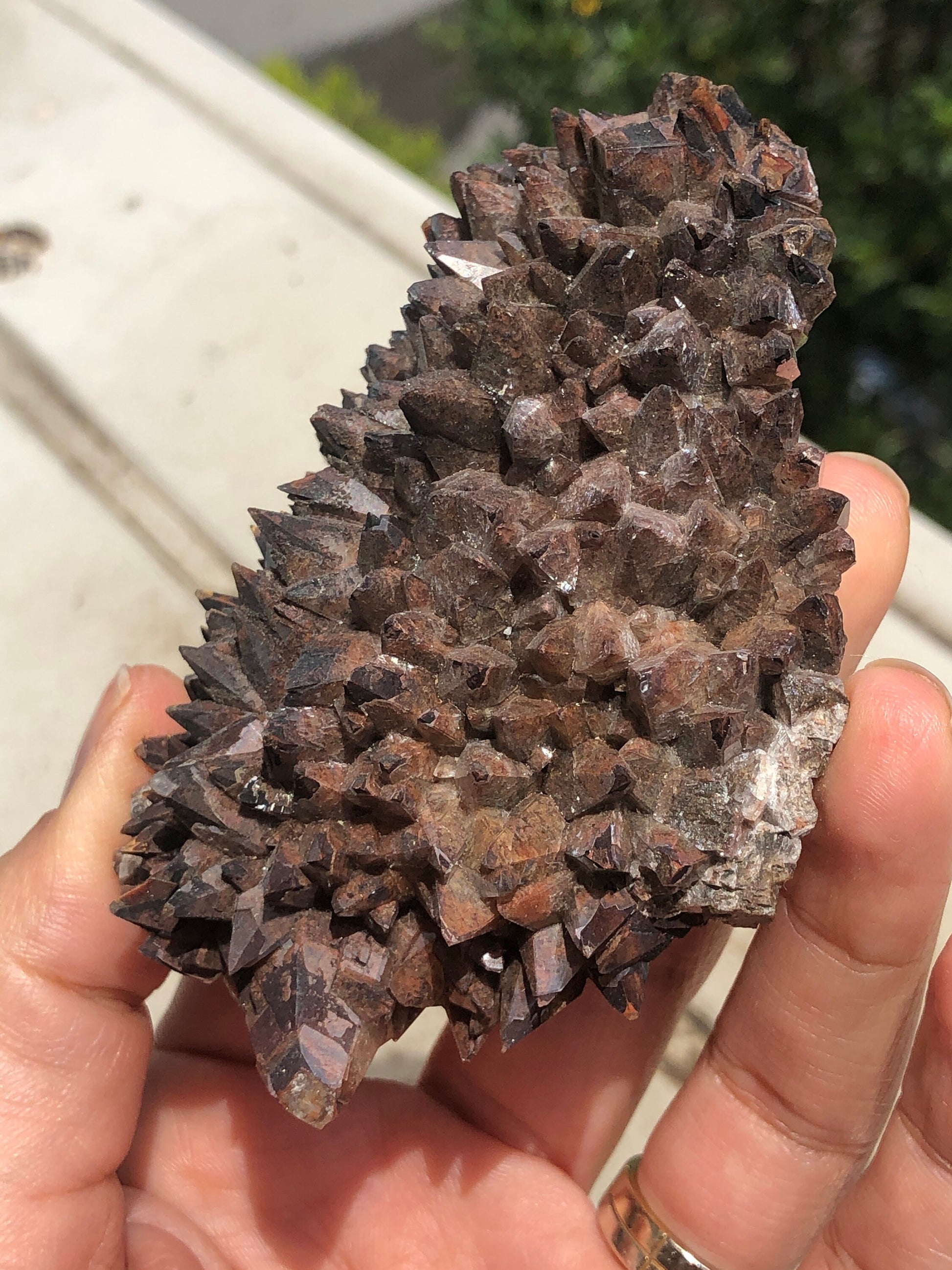 Reddish Brown Hematoid Dog Tooth Calcite Crystal Cluster from Mexico , Reddish Brown Calcite Mineral Specimen