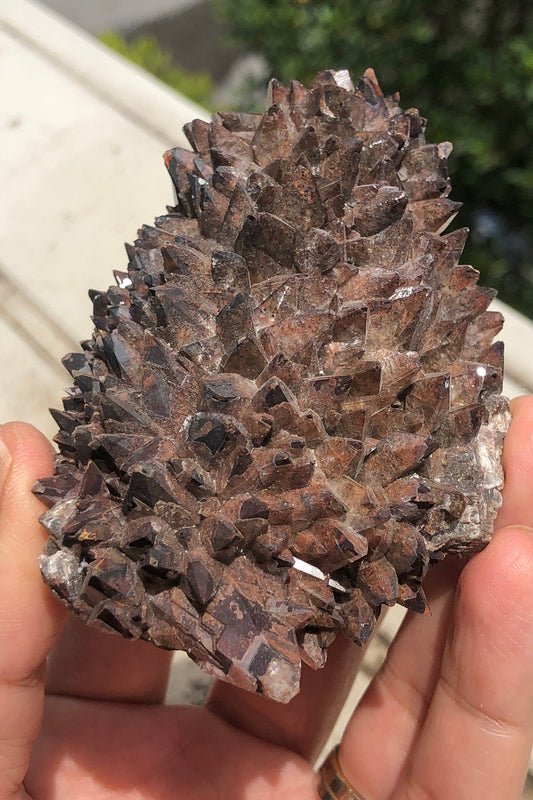 Reddish Brown Hematoid Dog Tooth Calcite Crystal Cluster from Mexico , Reddish Brown Calcite Mineral Specimen