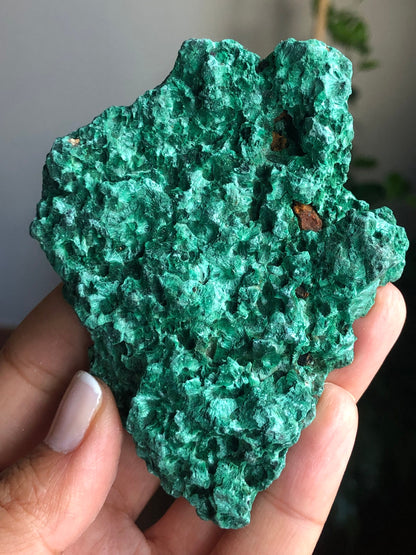 Beautiful Piece! Velvety Green Fibrous Malachite Mineral Specimen, Stone of Transformation