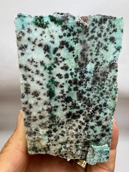 Wow!!!Druzy Blue Chrysocolla with Dendritic Malachite and Manganese Specimen