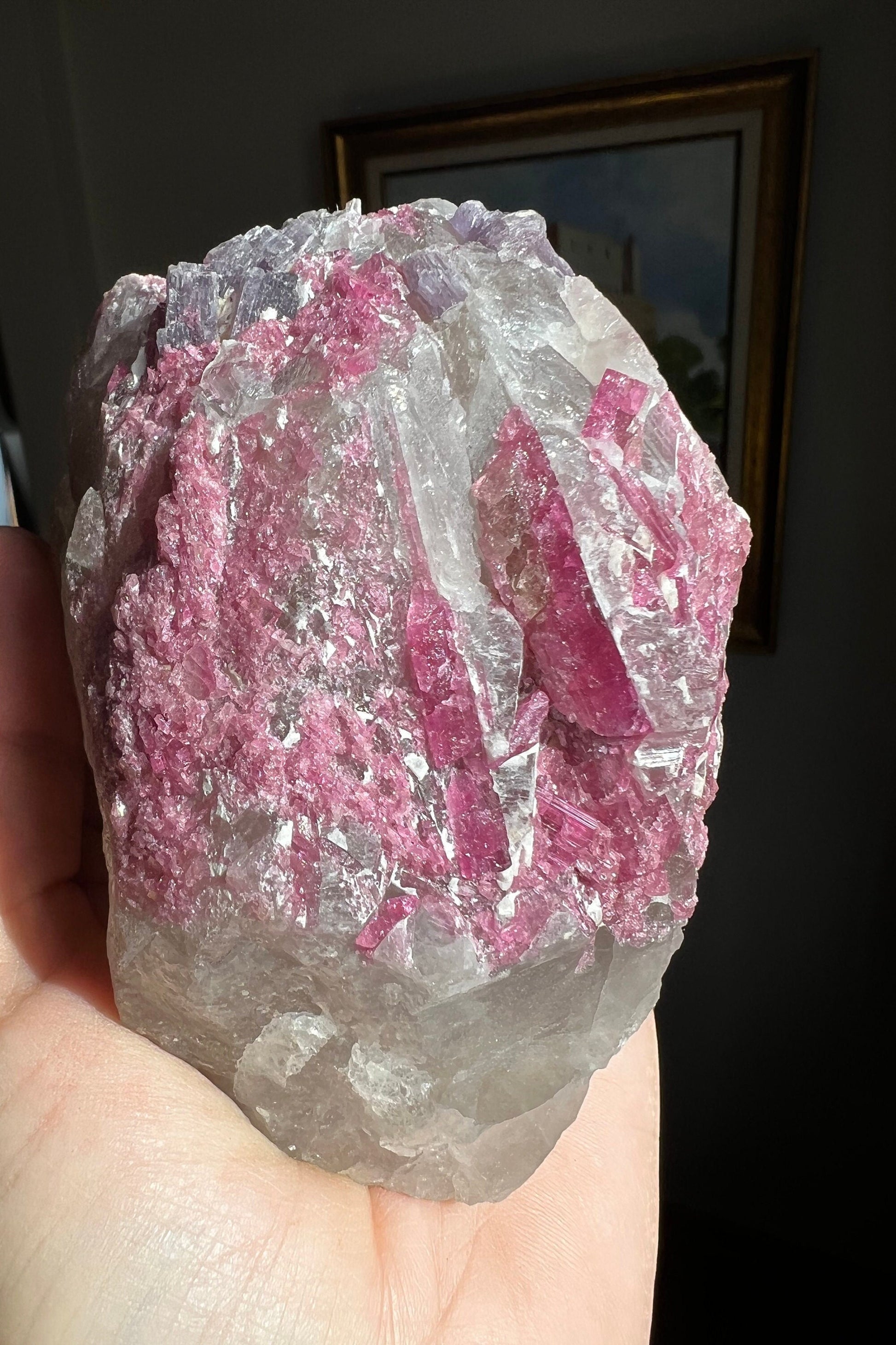 Special Combination! Tourmaline with Lepidolite on Quartz Specimen