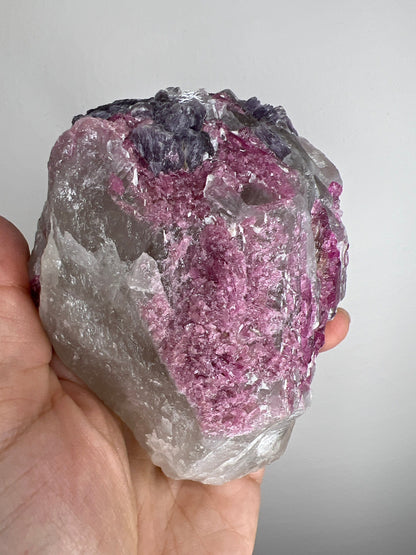 Special Combination! Tourmaline with Lepidolite on Quartz Specimen