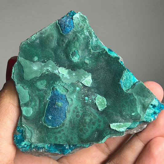 Rare! Blue Cornetite with Malachite Crystal Specimen from Democratic Republic of the Congo