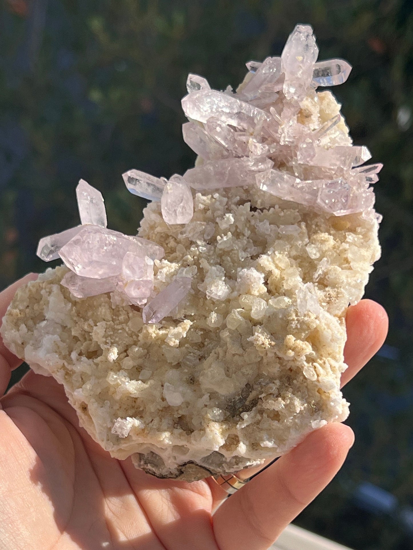 Stunning Amethyst Clusters from Vera Cruz, Mexico