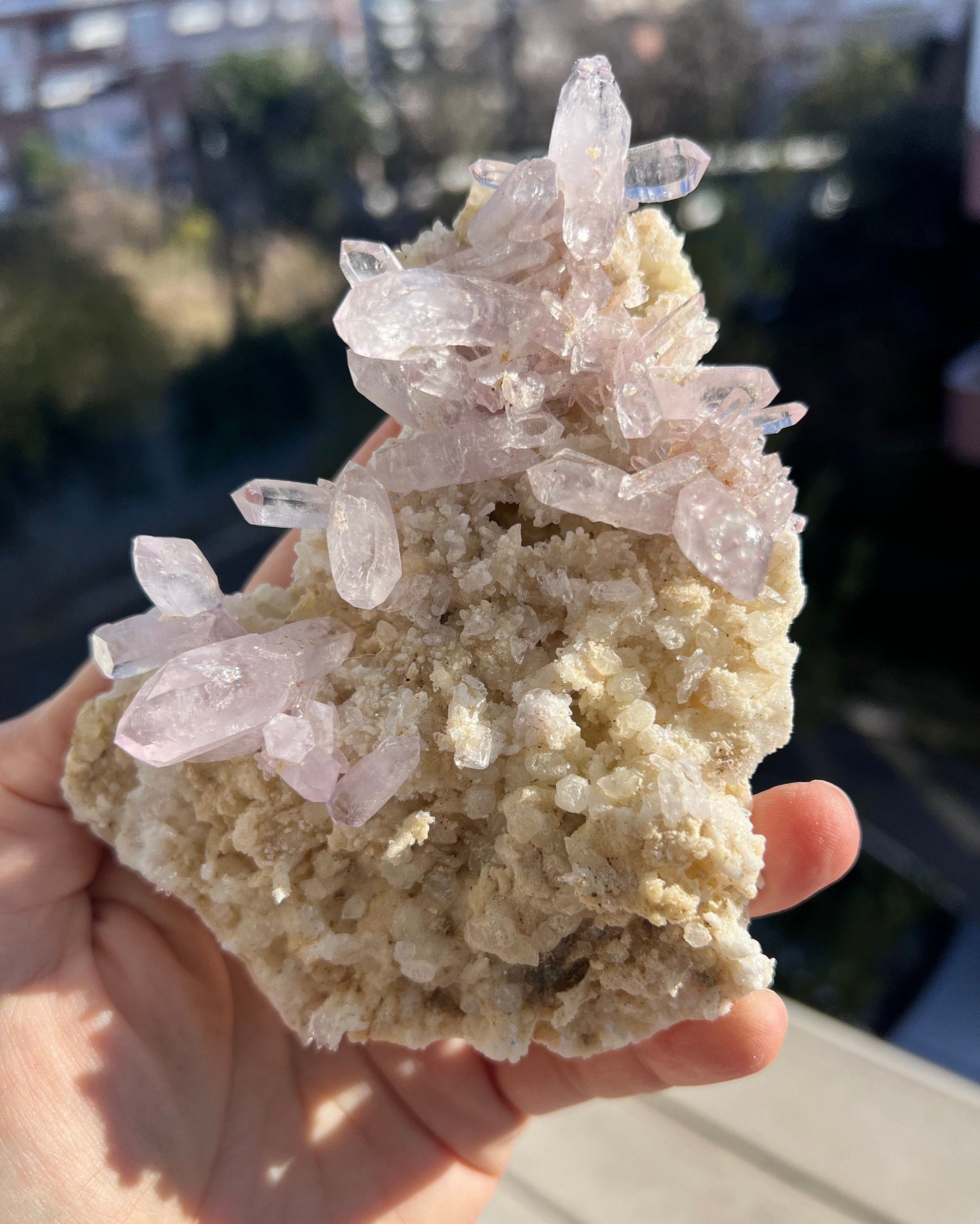 Stunning Amethyst Clusters from Vera Cruz, Mexico