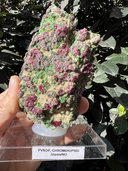 Rare! Pyrope Garnet with Chrom Diopsite Specimen