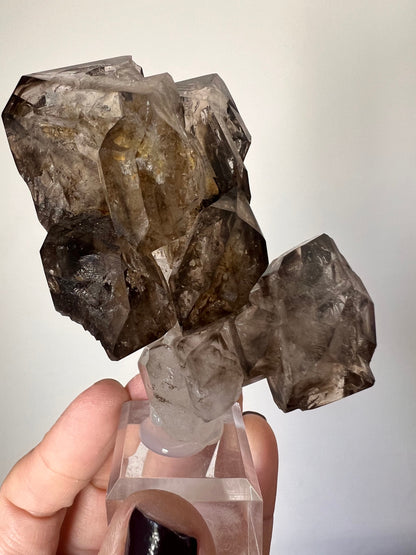 Juicy Fenster Window Smoky Quartz Crystal From Tanzania