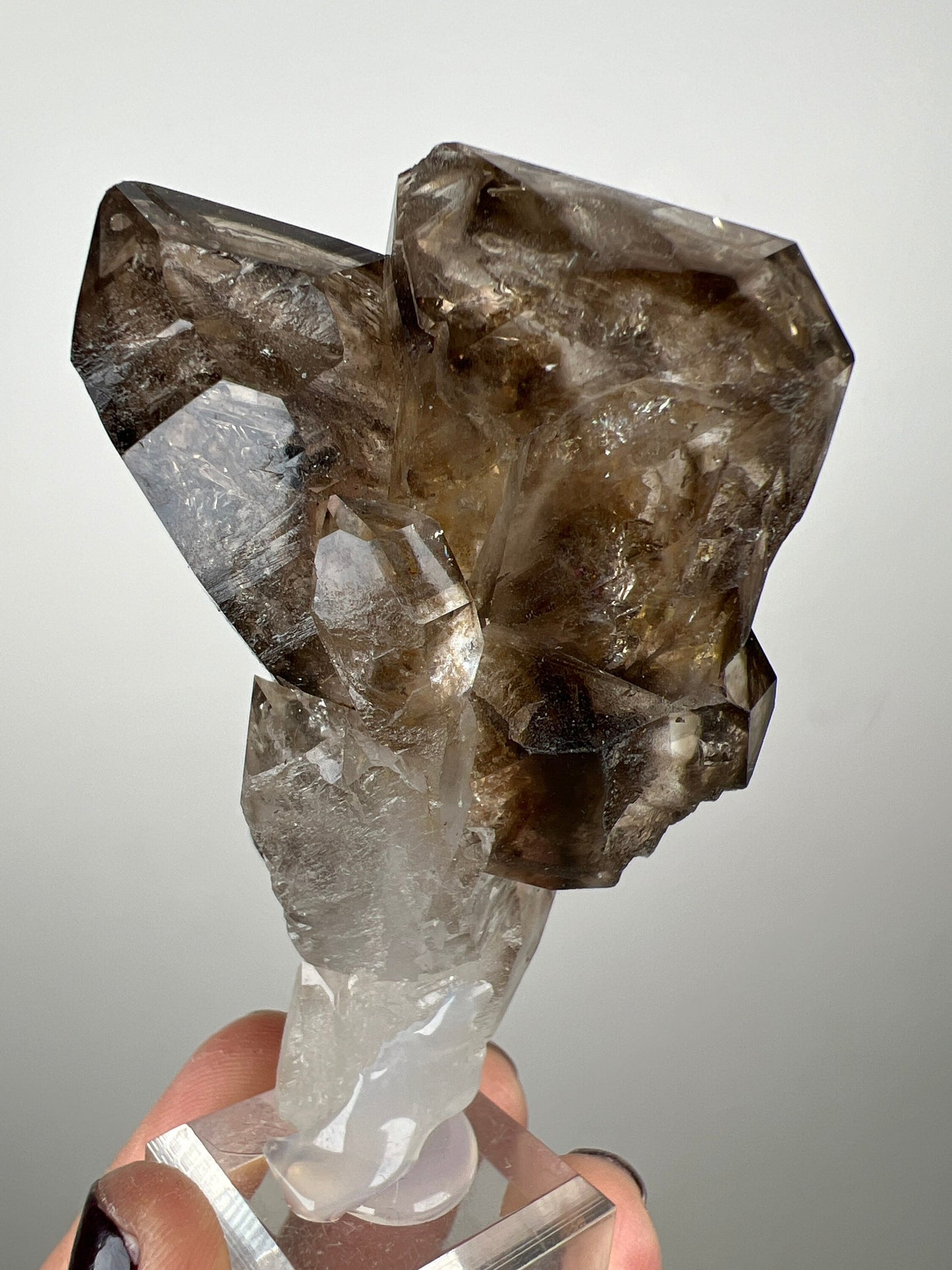 Juicy Fenster Window Smoky Quartz Crystal From Tanzania