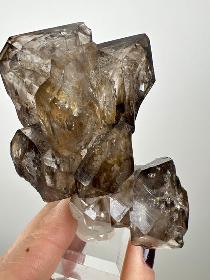 Juicy Fenster Window Smoky Quartz Crystal From Tanzania