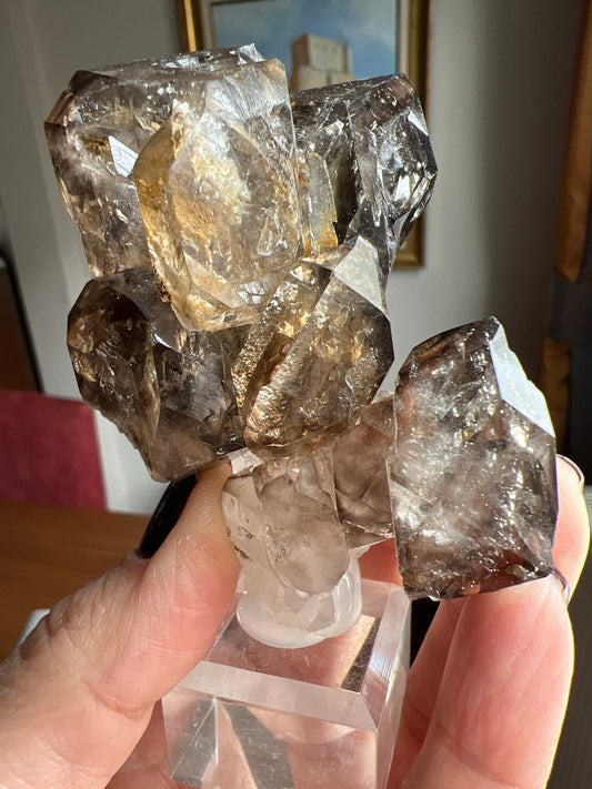 Juicy Fenster Window Smoky Quartz Crystal From Tanzania