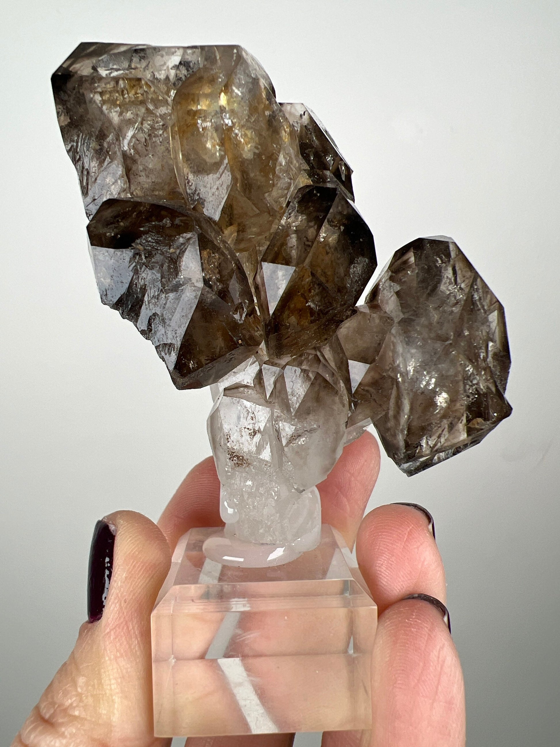 Juicy Fenster Window Smoky Quartz Crystal From Tanzania