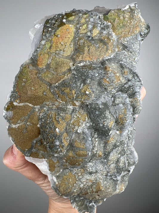 Cabinet Size!Chalcopyrite on UV Mangano Calcite From Kosovo