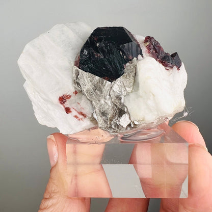 Amazing Piece! Garnet with Muscovite Crystal Specimen