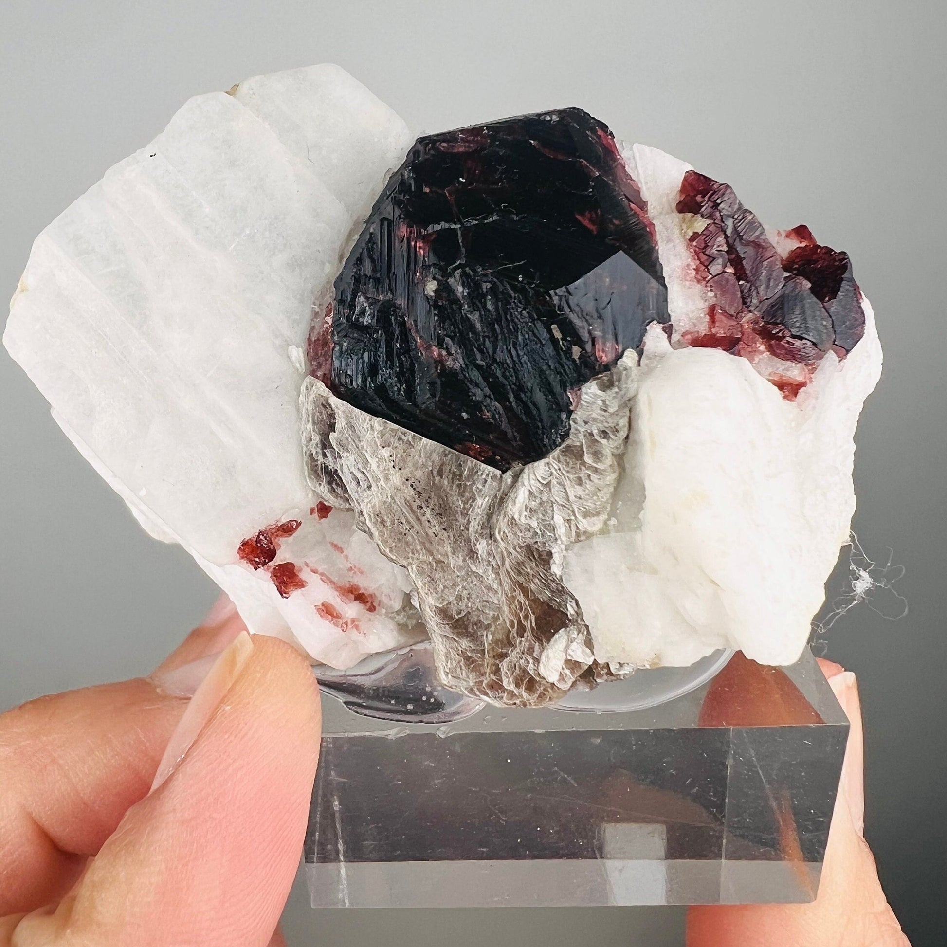 Amazing Piece! Garnet with Muscovite Crystal Specimen