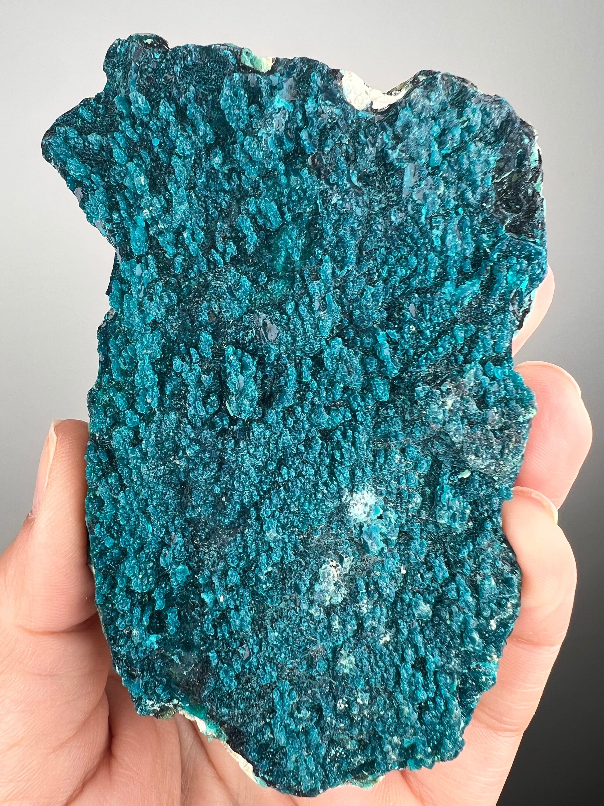 New! Pseudomorp Blue Chrysocolla Specimen from Peru