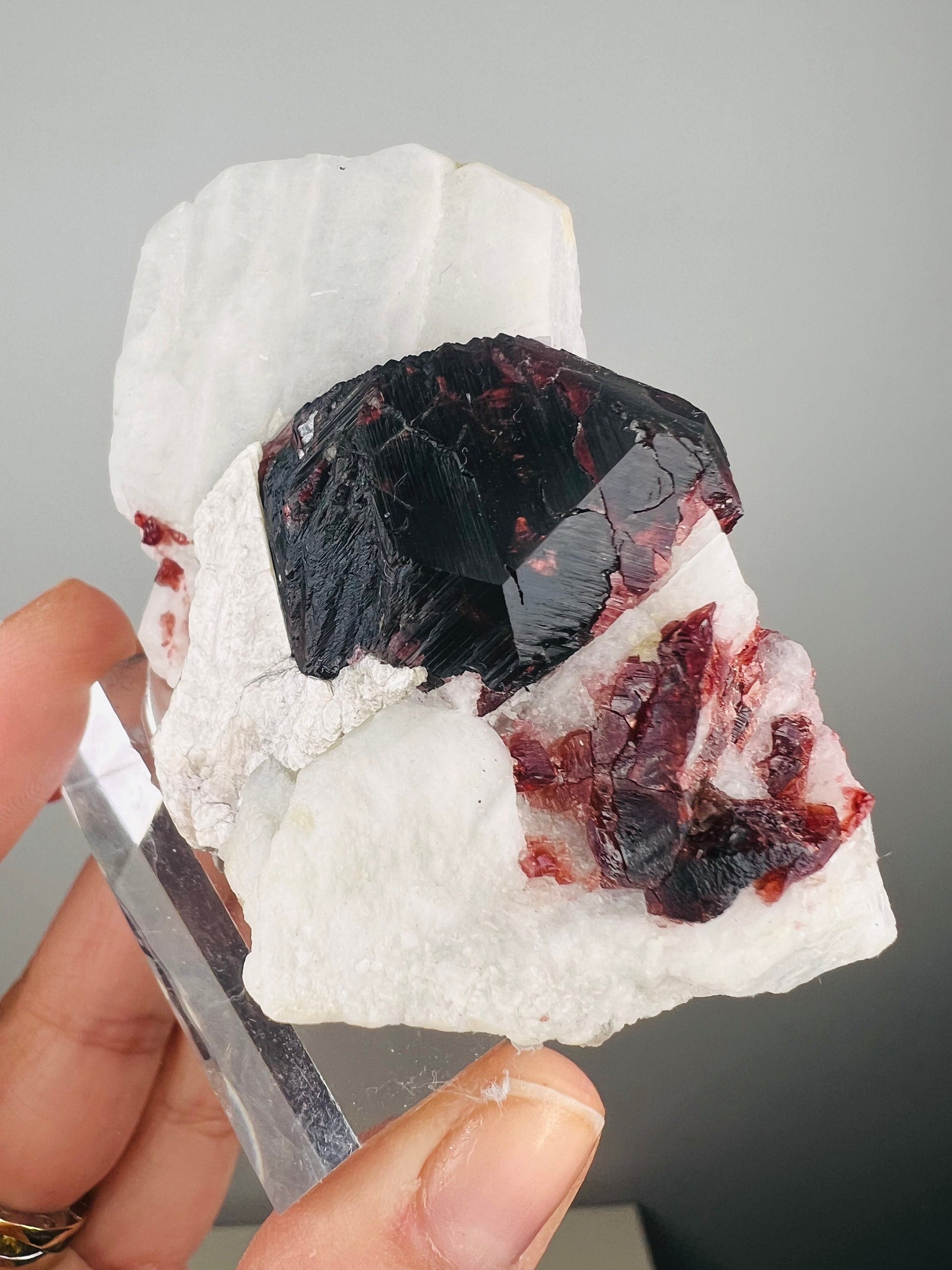 Amazing Piece! Garnet with Muscovite Crystal Specimen