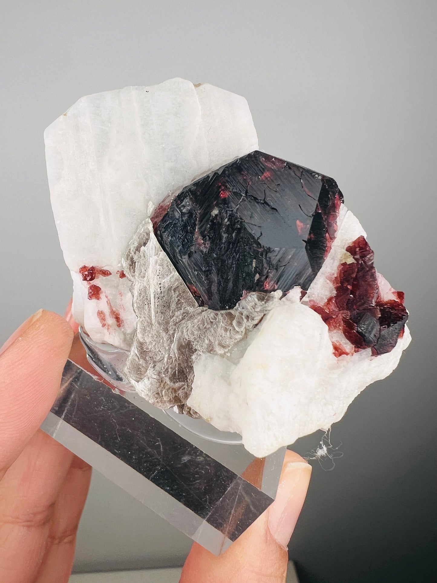 Amazing Piece! Garnet with Muscovite Crystal Specimen