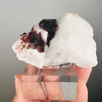 Amazing Piece! Garnet with Muscovite Crystal Specimen