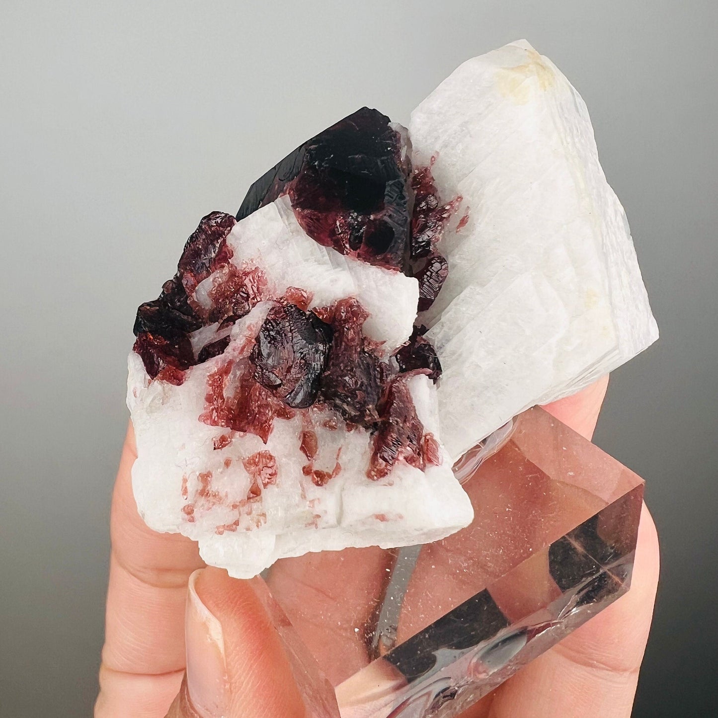 Amazing Piece! Garnet with Muscovite Crystal Specimen