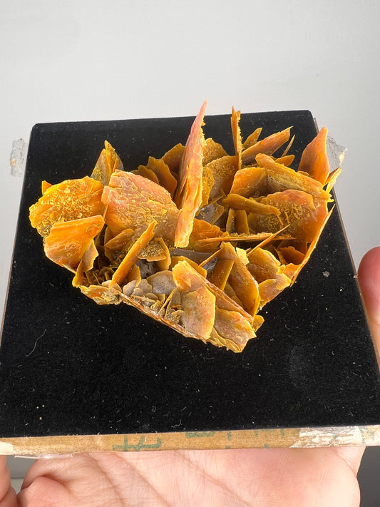 Perfect for Collection! Orange Wulfenite Specimen