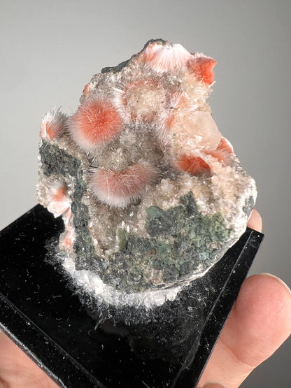 New! Amazing Piece for collection, Orange Thomsonite with Mesolite Specimen from India