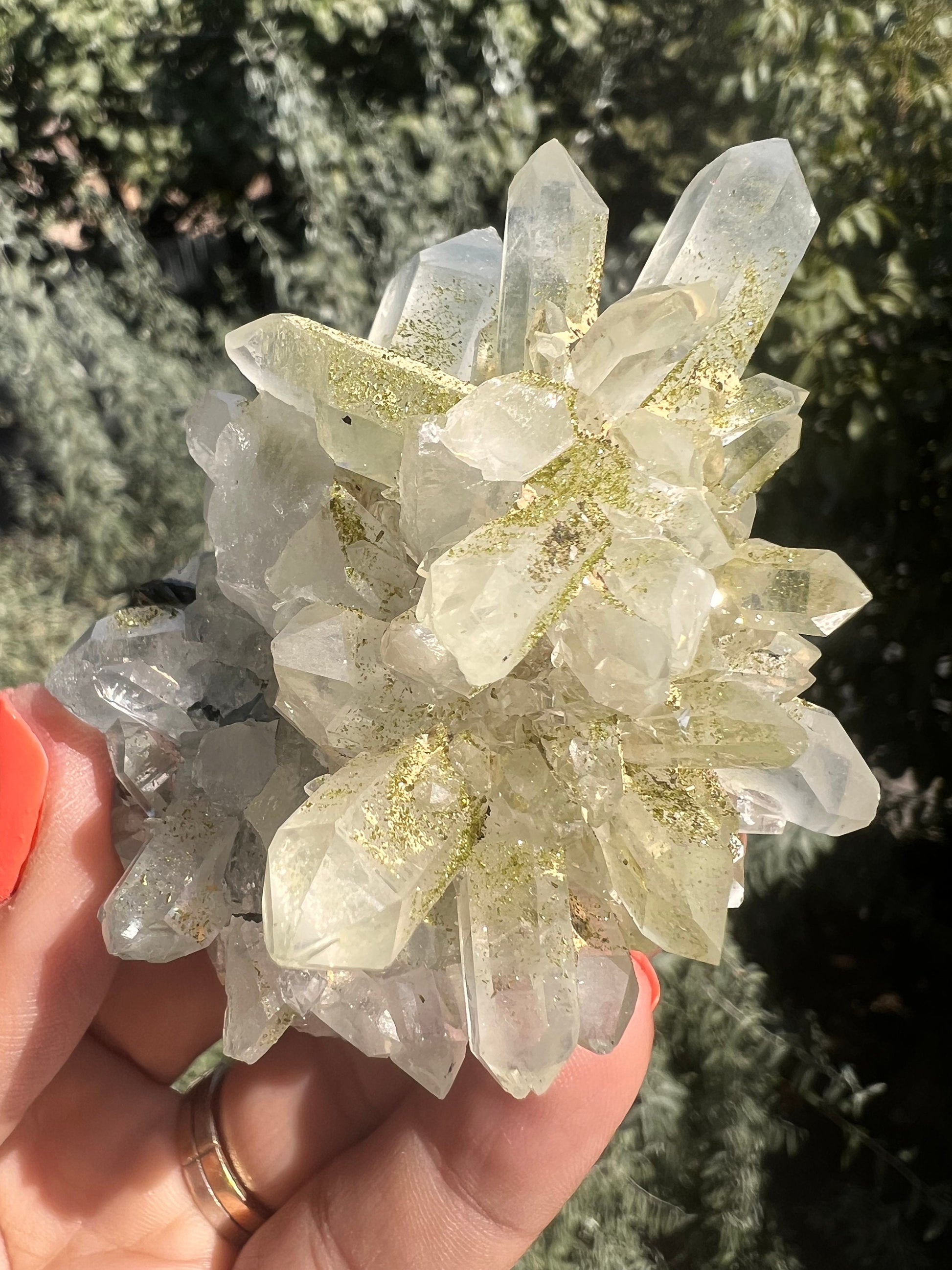 Crystal Quartz Flowers with Glittery Chlorite Crystals Specimen