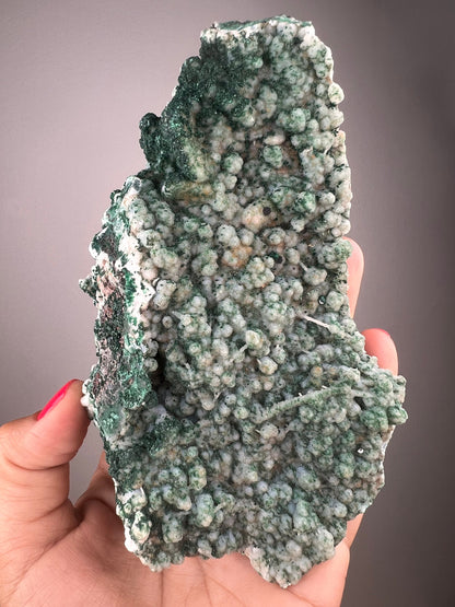 Stunning Piece!Malachite on Druzy Chalcedony Stallactite Specimen from Kalume,Congo