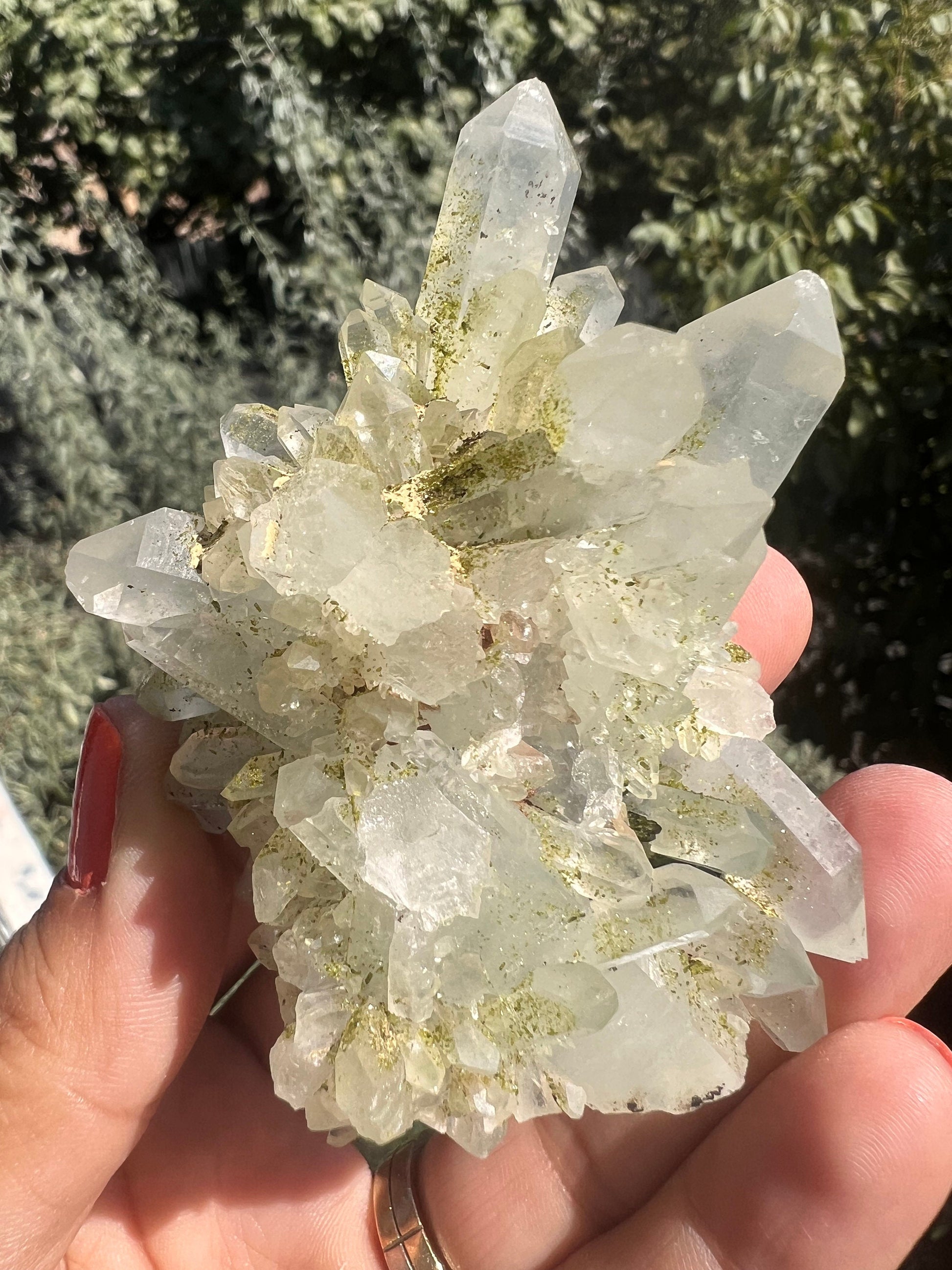 Crystal Quartz Flowers with Glittery Chlorite Crystals Specimen