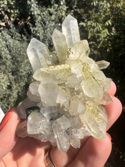 Crystal Quartz Flowers with Glittery Chlorite Crystals Specimen