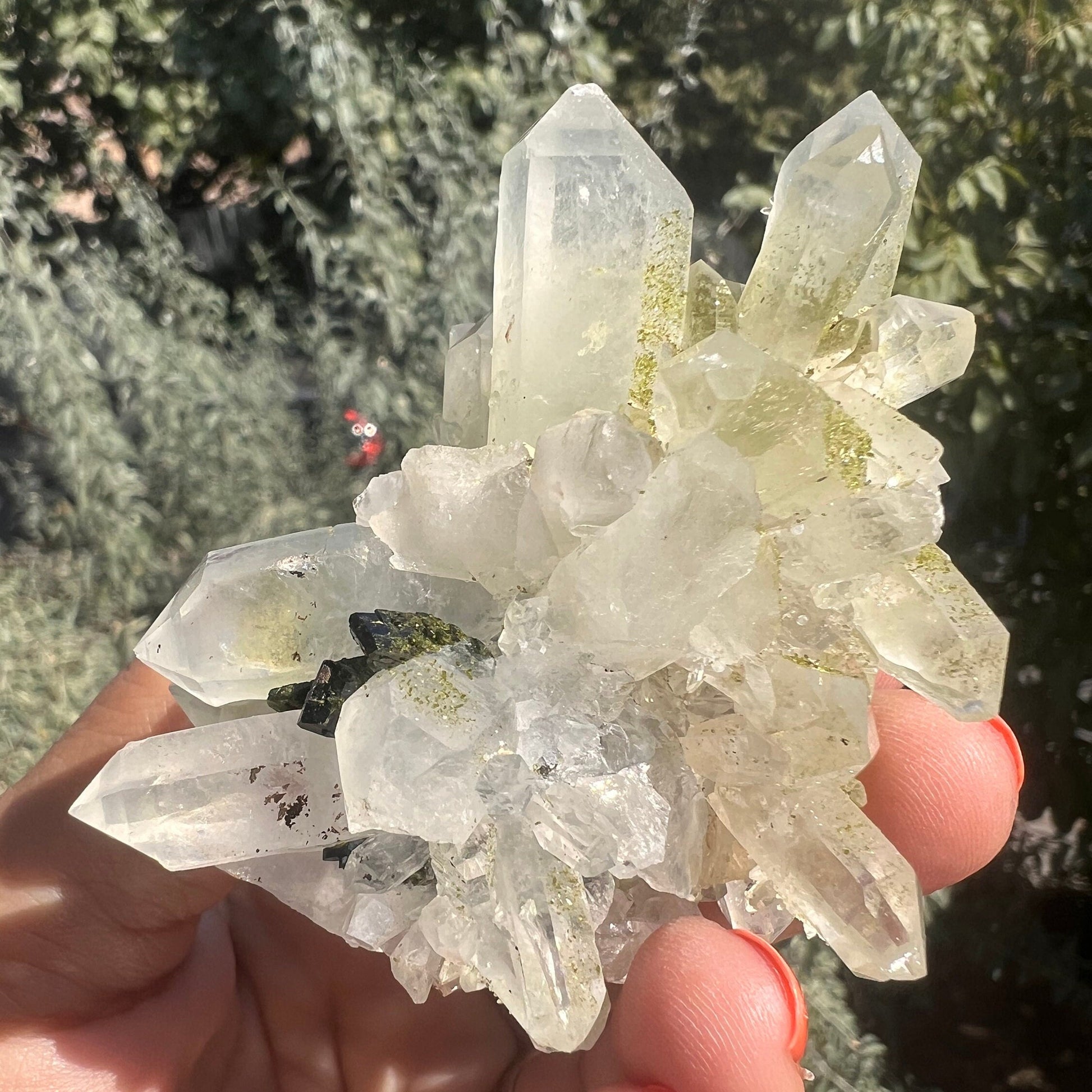 Crystal Quartz Flowers with Glittery Chlorite Crystals Specimen