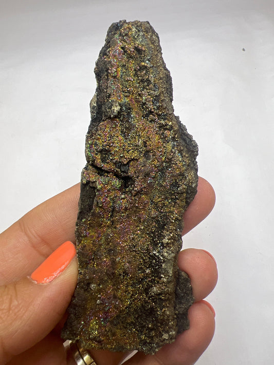 Rarest!New Find! Fossil Wood with Sparkling Chalcopyrite Crystal, Marcasite -mineralized Wood, Permineralized Wood with Marcasite