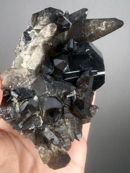 Feel the High Vibration! Black Tourmaline Crystal With Smokey Quartz Crystal Specimen