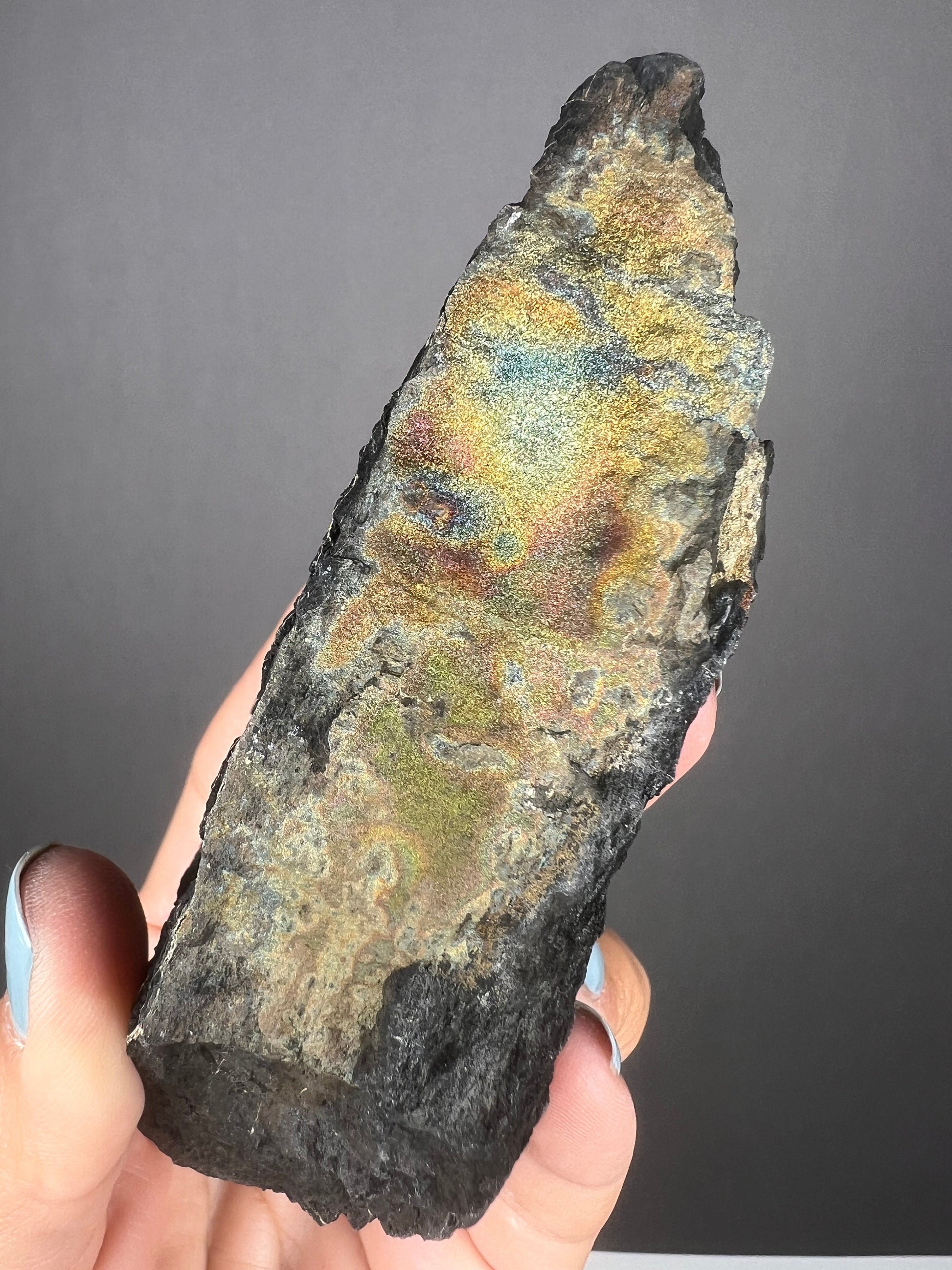 New Find!Fossil Wood with Sparkling Pyrite Crystal, Pyrite-mineralized Wood, Permineralized Wood with Pyrite