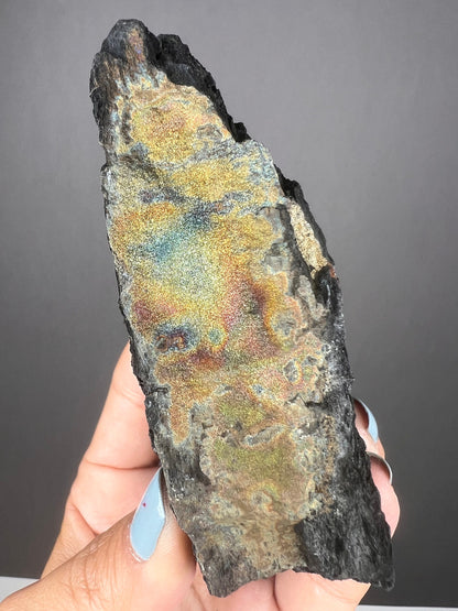 New Find!Fossil Wood with Sparkling Pyrite Crystal, Pyrite-mineralized Wood, Permineralized Wood with Pyrite