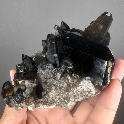 Feel the High Vibration! Black Tourmaline Crystal With Smokey Quartz Crystal Specimen