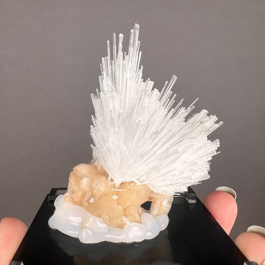 Special Piece! White Scolecite Spray with Stilbite Specimen