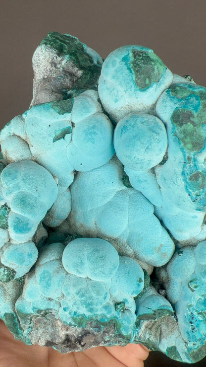 Bubbly! Blue Chrysocolla with Malachite Specimen