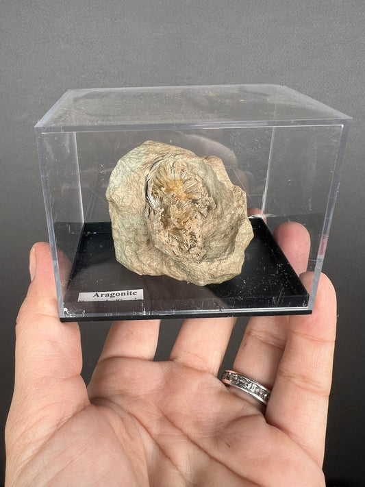 Brown Aragonite Star Mineral Specimen