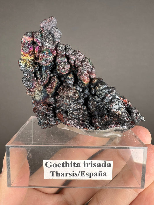 Amazing Piece! Iridescent Colorful Goethite (Turgite) Specimen