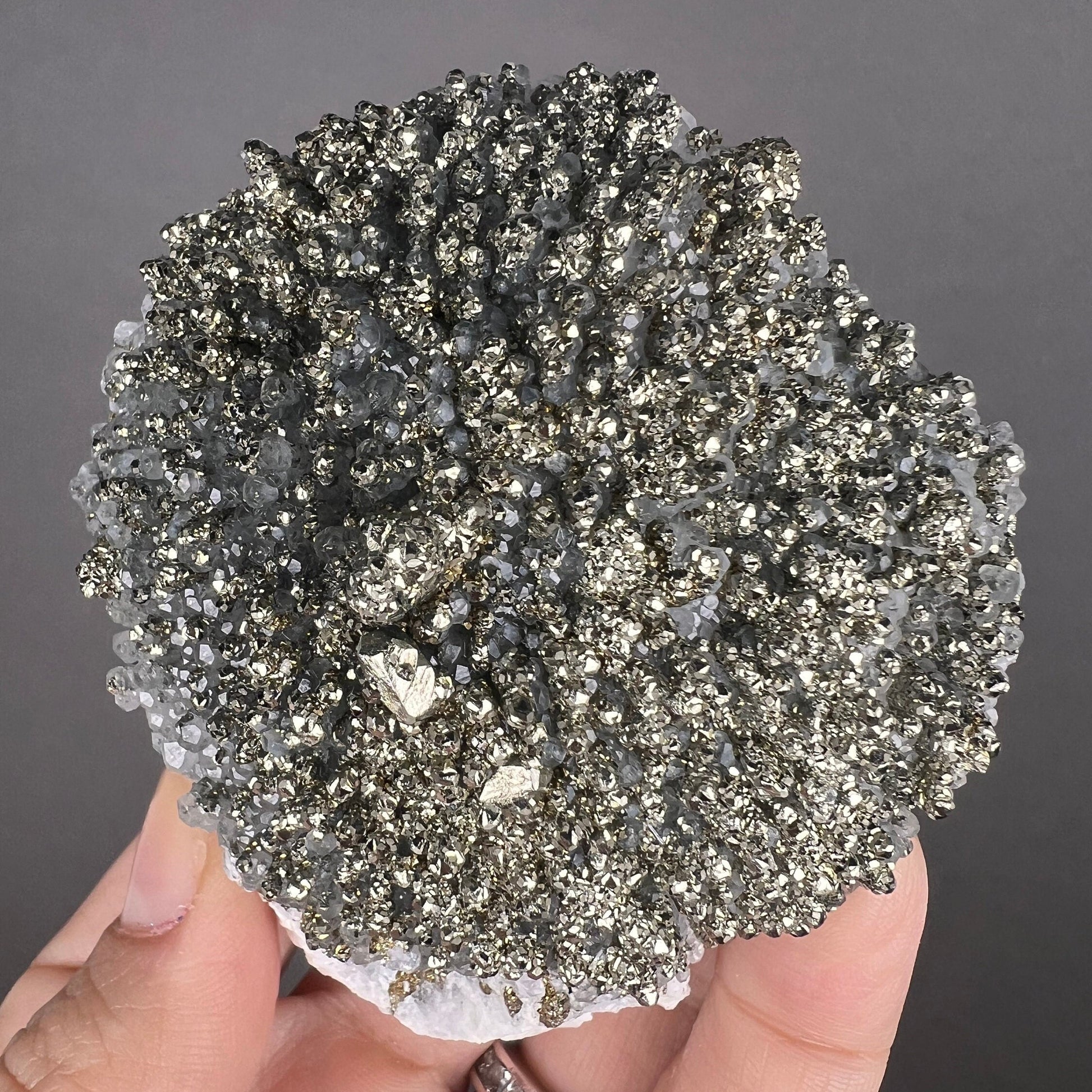 Amazing Piece! Pyrite Crystal on Calcite with Galena (backside) Specimen