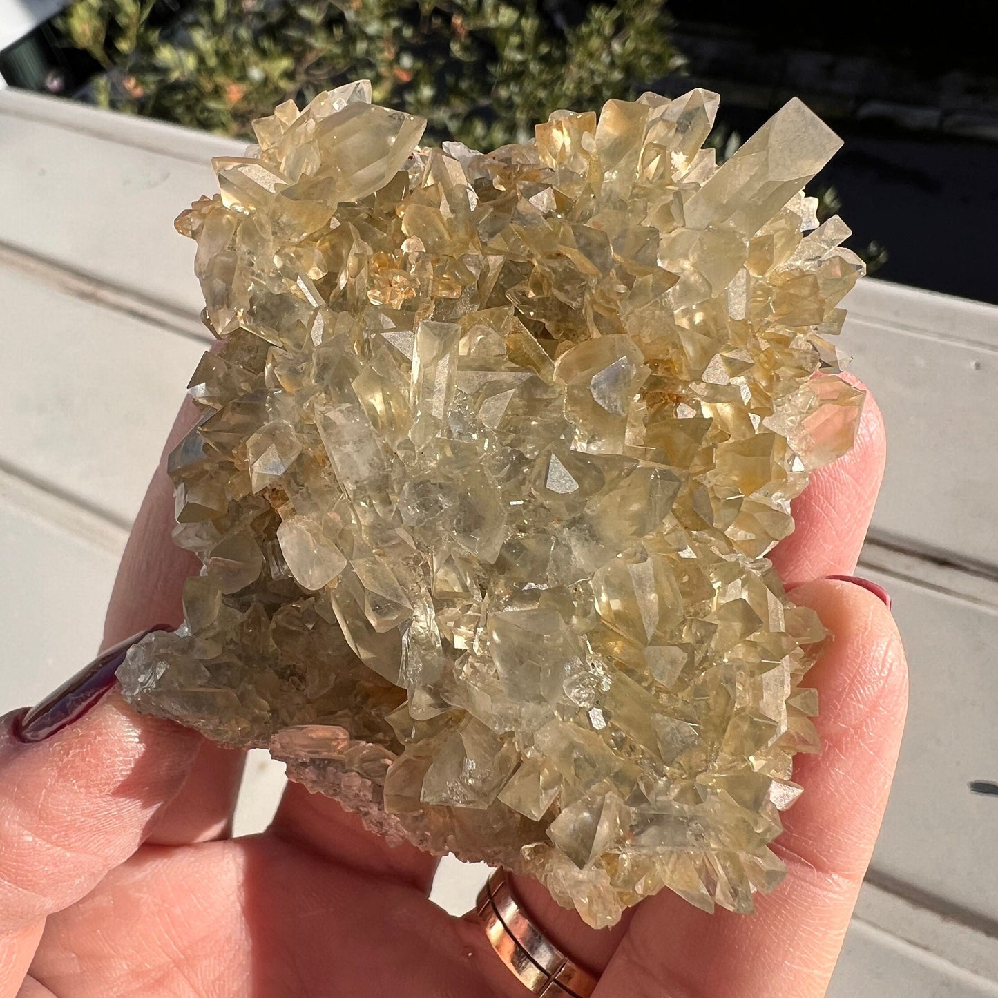 Bi-color Grayish Blue- Yellow Gemmy Barite Specimen from Mexico