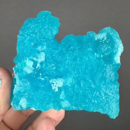 Neon Blue Salammoniac with Lecontite Specimen from Chile
