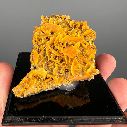 Perfect for Collection! Orange Wulfenite Specimen