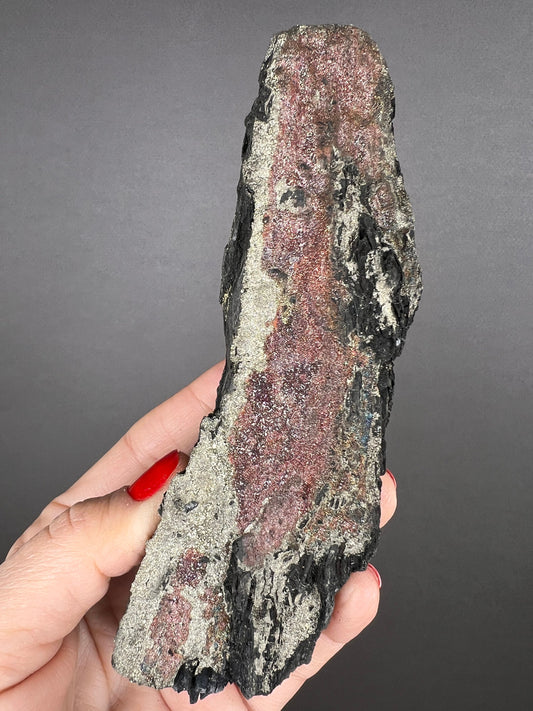 New Find!Fossil Wood with Sparkling Pyrite Crystal, Pyrite-mineralized Wood, Permineralized Wood with Pyrite