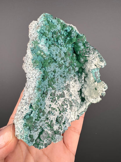 Lovely Piece! Malachite on Chrysocolla Specimen