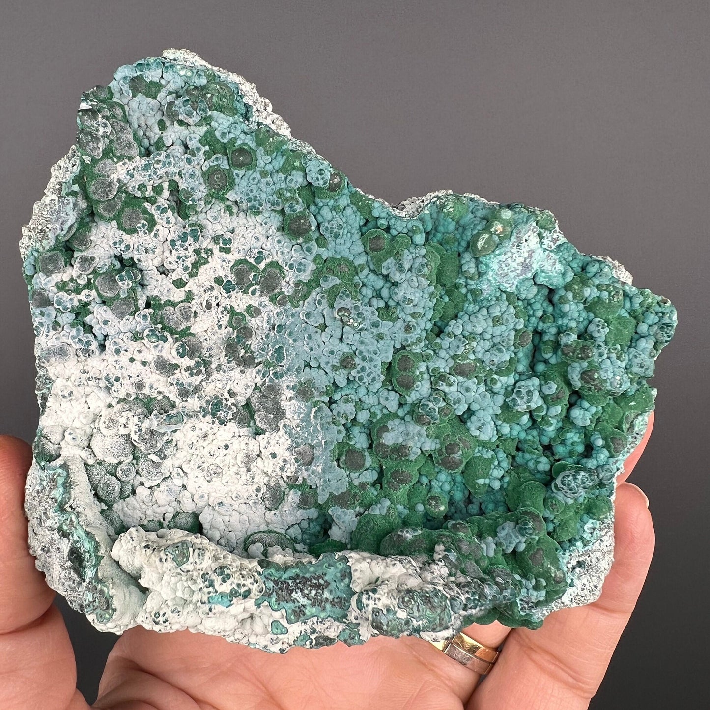 Lovely Piece! Malachite on Chrysocolla Specimen