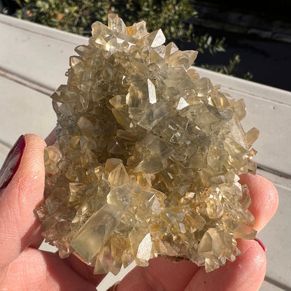 Bi-color Grayish Blue- Yellow Gemmy Barite Specimen from Mexico