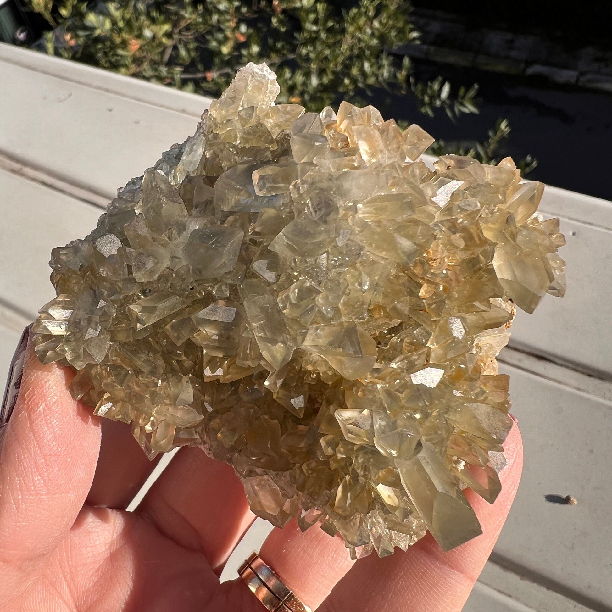 Bi-color Grayish Blue- Yellow Gemmy Barite Specimen from Mexico