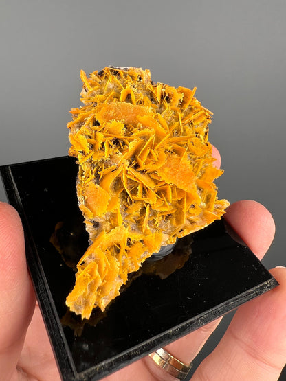 Perfect for Collection! Orange Wulfenite Specimen