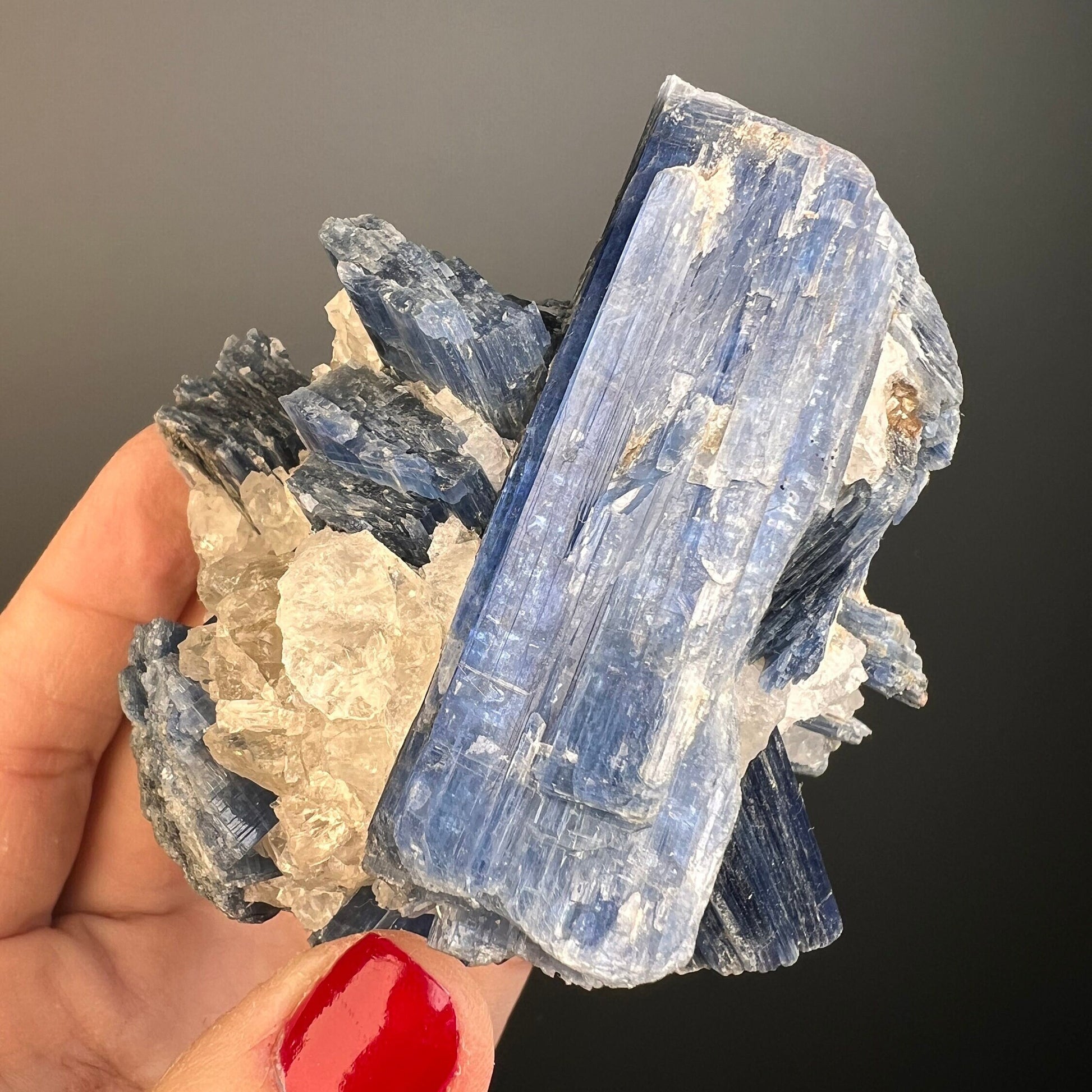 Perfect Piece!Blue Kyanite Mineral Specimen for Collection